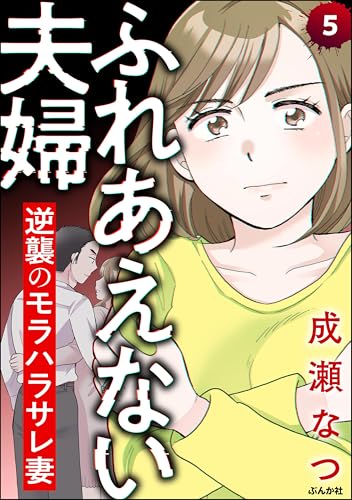 ふれあえない夫婦 逆襲のモラハラサレ妻(分冊版) 【第5話】 (comic RiSky(リスキー))