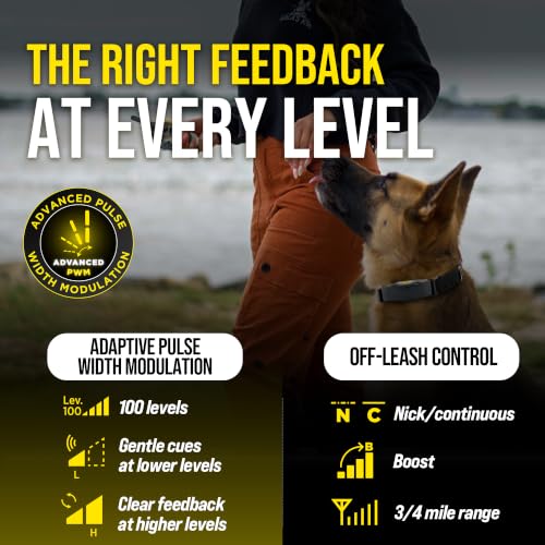 Image of Dogtra ARC-X E-Collar for Dog Training - 3 /4 Mile Range, for Dogs 15 lbs+, Slim Design, IPX9K Waterproof, 100 Stimulation Levels, Vibration, Tone, Rechargeable - Dog Owners and Professional Trainers