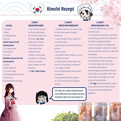 asiafoodland - Gochugaru - Chili Pulver für Kimchi - Red Pepper Powder, 1er Pack (1 x 100g)