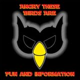 Pictures Angry These Birds Are!