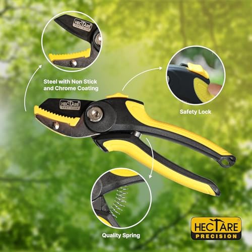 Image of Hectare Precision 3-in-1 Tree Pruner & Fruit Picker Set - 10ft Telescopic Pole, Detachable Saw Blade, Mesh Net Head, and Anvil Pruning Shears - No-Ladder Harvesting & Trimming Solution