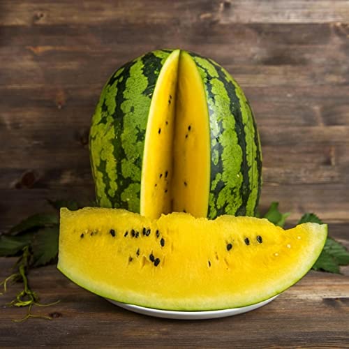 Seedsup - 30+ Yellow Flesh Doll Babies Desert King Watermelon (Not Seedless, With Few Seeds) - Fruit #TOP6