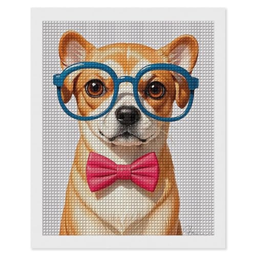 Kit peinture diamant maccbn cadeau idéal adulte broderie strass carrés avec lunettes DIY