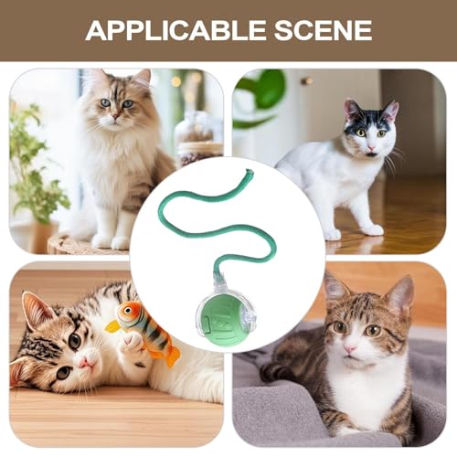 Bola interactiva para gatos con orbe motorizado ABS interactivo 5