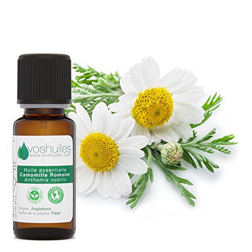 Huile Essentielle de Camomille Romaine, Noble - 100% Pure et Naturelle - HEBBD - Huile Essentielle Apaisante - Idéal pour Soulager la Tension - 5 ml - VOSHUILES