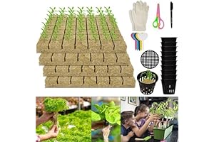 Essential Hydroponic 552 Rockwool Grow Plugs Starter Kit