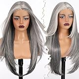 BLONDE UNICORN Ombre Grey Synthetic Lace Front Wig,T Part Pre Cut Glueless Straight Layered Wigs for Women Cosplay Daily Use 26IN(#2/606HL)