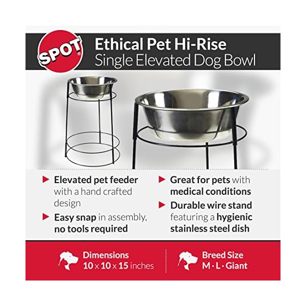 Elevated Dog Feeder For Medium Dogs