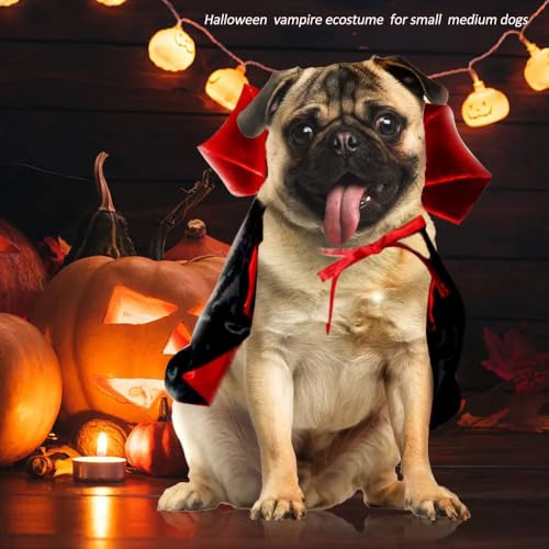 Disfraz capa de vampiro para perro talla única miniatura 3