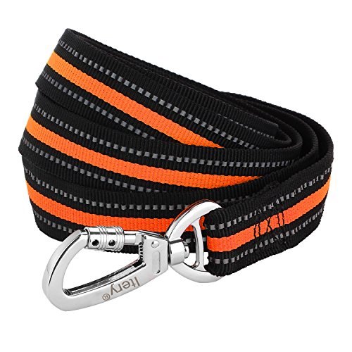 Dog Leash, Itery Reflective Dog Leash Pet Safety Walking and Trainning Leash 6 Feet Length 1 Inch Width (Orange)