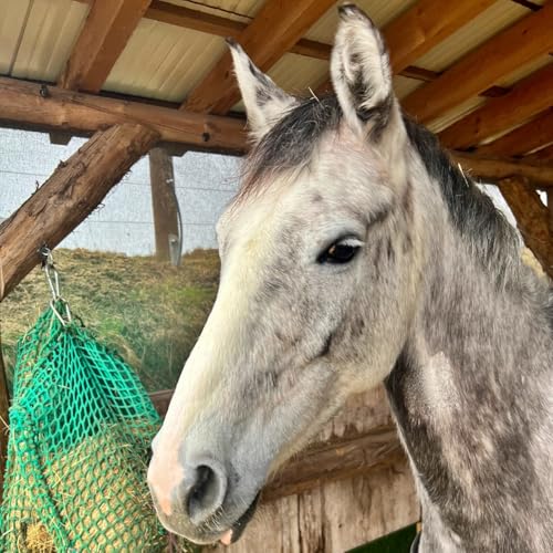#422 Vom Boxenstopp zur&uuml;ck ins Leben