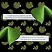 Miss Fortunes, Funny Fortune Cookies, The Unlucky Dozen, For Those Who Have Been Finger'd By Fate! Written by Professional Comedy Writers (Box of 12 Individually Wrapped Green Fortune Cookies)