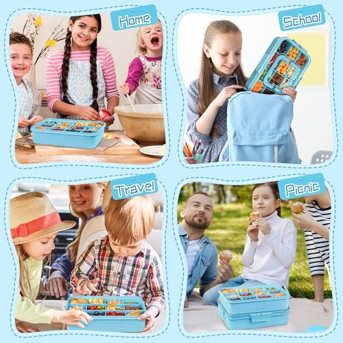 Xyptorix Adjustable 12 Compartment Box