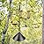 Bird Feeding Station Kit Bird Feeder Pole Wild Bird Feeder Kit with Squirrel Baffle and Suet Cage Mesh Tray Fruit Hook Double W Hook for Attracting Wild Birds