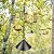 Bird Feeding Station Kit Bird Feeder Pole Wild Bird Feeder Kit with Squirrel Baffle and Suet Cage Mesh Tray Fruit Hook Double W Hook for Attracting Wild Birds