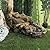 Alpine Corporation TZL296 41" Long Indoor/Outdoor River Rock and Log Fountain with LED Lights – Outdoor Water Feature for Garden, Patio, and Home Décor, Brown