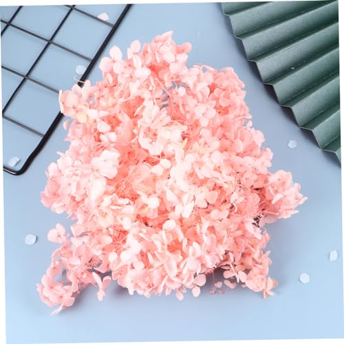 Pétalos de Hortensia Rosa Natural Preservados para Manualidades miniatura 5