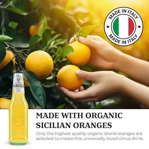 GalvaniNon-Alcoholic Natural Cocktail Mimosa 4 Pack Organic 27.2 fl oz (Pack of 6)