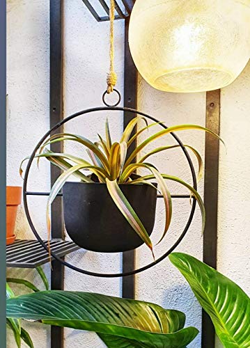 spylark™ Round Frame Hanging Metal Iron Flower Pot Stand with Metal Bucket Planter-(Black)(Set of 2) (B08R8ZMPV3) Amazon Price History, Amazon Price Tracker