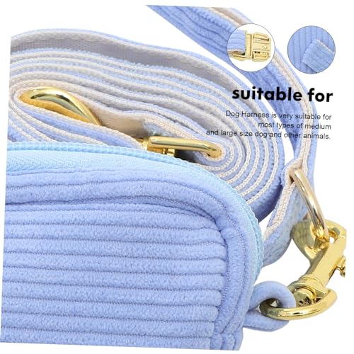 Laisse et collier de sécurité pour chien confortable bleu