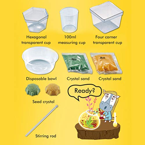 Newooh Kit 