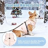 Zoom IMG-1 asmea cappottino cane taglia piccola Zoom IMG-1 asmea cappottino cane taglia piccola