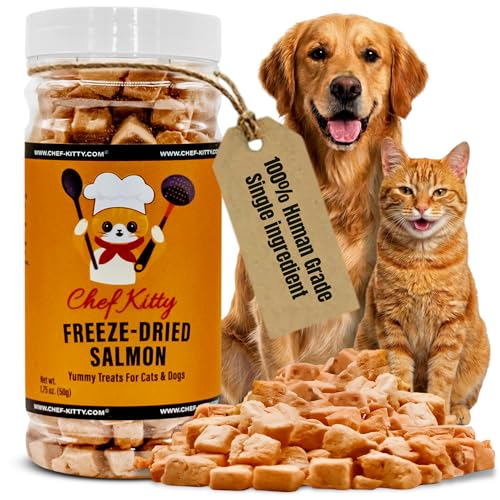 Freeze Dried Salmon Cat Treats | 100% Wild Caught Salmon Dog Treats Grain- Free | High Protein Single Ingredient Cat & Dog Food Toppers | No Additives or Preservatives | Tested in USA | 1.4 oz