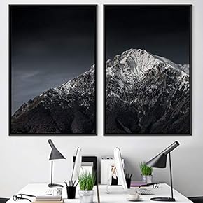 signwin 2 Piece Framed Canvas Wall Art Black...