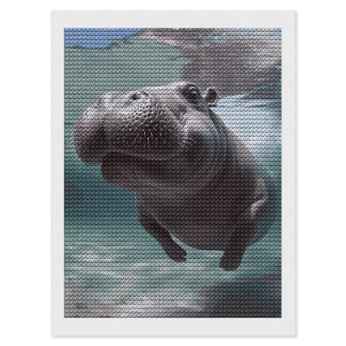 Kit peinture diamant hippopotame plongée HEBVNJF broderie diamant adulte