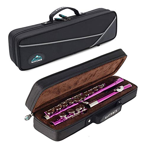Eastrock Closed Hole Flutes C 16 Key For Beginner, Kids, Student -Nickel Flute With Case Stand And Cleaning Kit (Pink) #TOP2