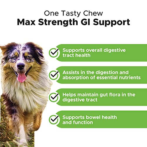 Pethonesty Solid Stool Max Strength Chews - Perfect Poop Every Day, Diarrhea & Bowel Support - Fiber, Probiotics, Prebiotics & Digestive Enzymes - Digestion & Health Supplement For Dogs (90 Count) #TOP1