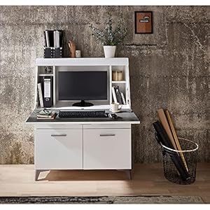 Lomadox Sekretär weiß matt LA36