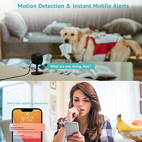 Laview 4Mp Bulb Security Camera And Indoor Security Camera 2 Pcs 2.4Ghz, 2K Full Color Day And Night, Motion Detection, Audible Alarm, Easy Installation, Compatible With Alexa #TOP6