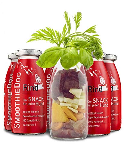 Hunde Smoothie SmoothieDog 6er Rind - Flüssiges Hundeleckerli - Zucker- & glutenfrei - je 250ml