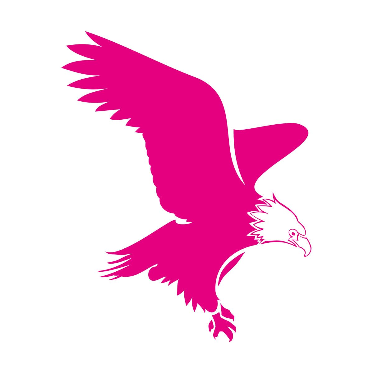 Abstract Eagle Bird Silhouette Flight Wingspan Wall Decals 81x100.8cm Easy Installation Extra Large Rosered — image 1