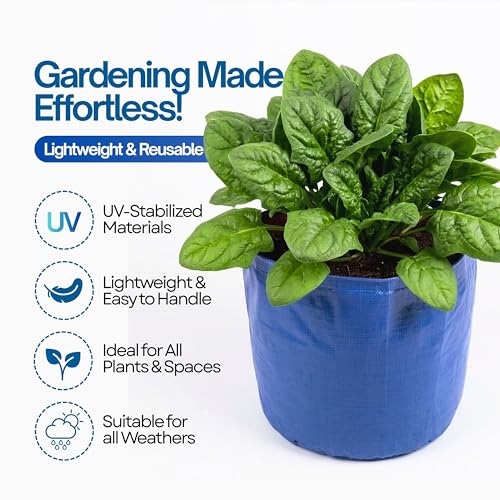 Image of Bio Blooms Round HDPE Plant Grow Bag for Terrace & Kitchen Gardening | Pack of 1 | 9x12 | 350 GSM Heavy Duty Outdoor Grow Bag | Durable Planter for Vegetables, Flowers & Plants | Blue