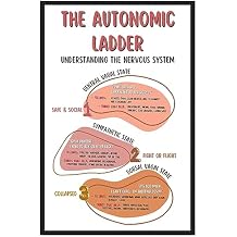 Autonomic Ladder Poster, Boho Mental Health Posters, Counseling Office Printed Wall Decor, Classroom Wall Art - 11x17 in. LAMINATED - No Frame