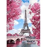 Easy to Read - Each Landscape diamond art painting is designed with different symbols and graphics to define the patterns, the letter symbols are clear and easy to understand and the DMC code on the canvas corresponds to the color of the drill bit, t...