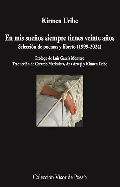Portada de En mis sueños siempre tienes veinte años