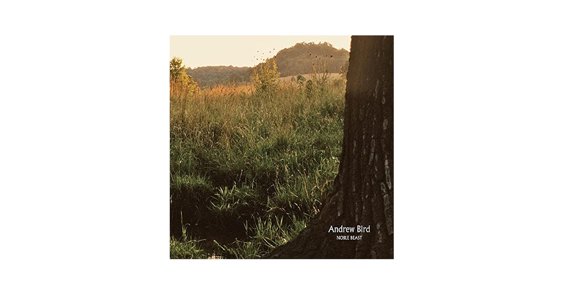 Andrew Bird - Noble Beast - Amazon.com Music