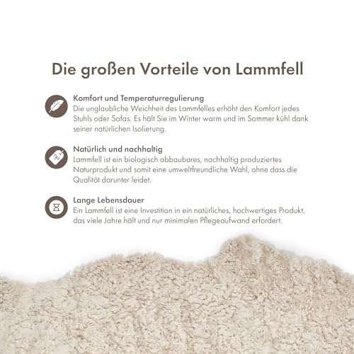 NORDIC SHEEP Lammfell Kurzhaar 90x60 cm | Lammfell Echt für das Sofa, den Stuhl oder rund um den Esstisch | Jedes Teppich ist EIN Unikat und von der Natur geschaffen | Farbe: Beige