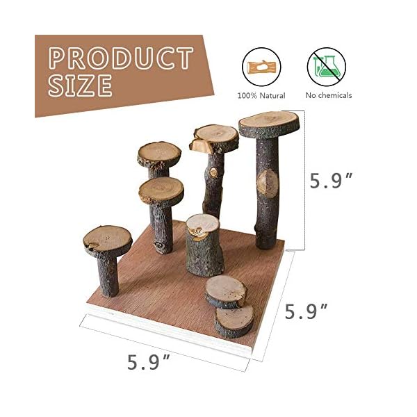 Hamster climbing wooden stand platform, pet cage playground natural wood bridge ramp toys for dwarf hamsters, syrians hamster, gerbil, mouse, rat - image 8