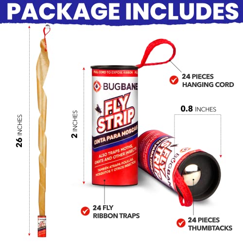 24 Fly Strips Indoor Sticky Hanging With Pins. Fly Trap Fly Paper Strips Indoor Hanging Fly Tape For Indoors And Outdoor. Fly Catcher Fly Ribbon Sticky Fly Traps For Indoors Flypaper. Fruit Gnat Traps #TOP7