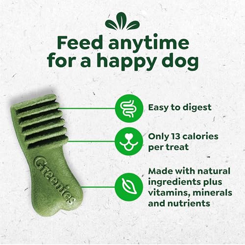 Greenies Dog Anytime Bites Bite-Size Treats for Dogs Mint Flavor 65-Chewy Treats – Ansicht 2