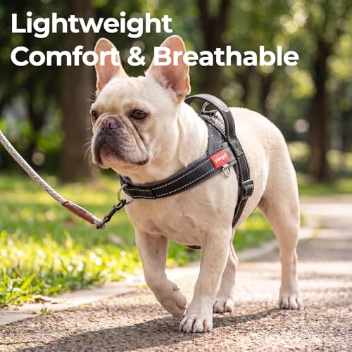 pangdi No Pull Dog Harness with Handle, Reflective Dog Vest, Black, S by pangdi - Used condition - Image 4