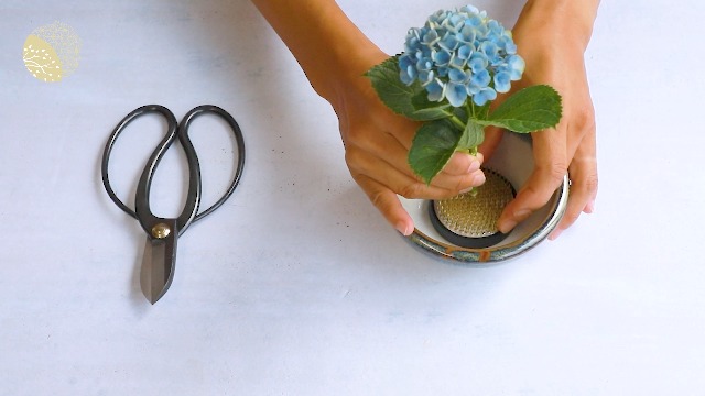 Wazakura Kenzan Rettangolare per Ikebana in Ottone (68mm) per Composizioni Floreali, Fatto in Giappone, Arrangiamenti Floreali, Portafiori - Kenzan Rettangolare in Ottone 68mm