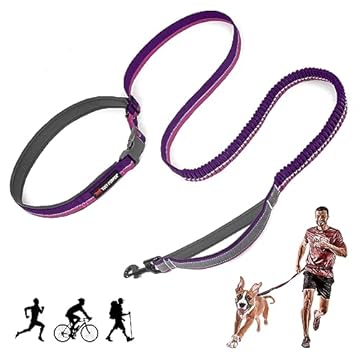 Coleira elástica para cães mãos livres | Design leve para corrida e caminhada | Cinto acolchoado ajustável (60-127 cm) | Elástico elástico de 9,5 a 1,8 m de comprimento | Nylon balístico forte com tiras reflexivas