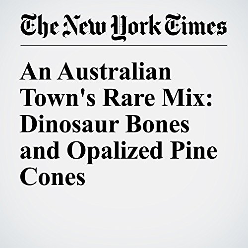 An Australian Town's Rare Mix: Dinosaur Bones and Opalized Pine Cones cover art