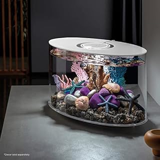 biOrb Loop 15 Acrylic 4-Gallon Aquarium with White LED Lights Modern Compact Tank for Tabletop or Desktop Display, White-Trimmed Tank