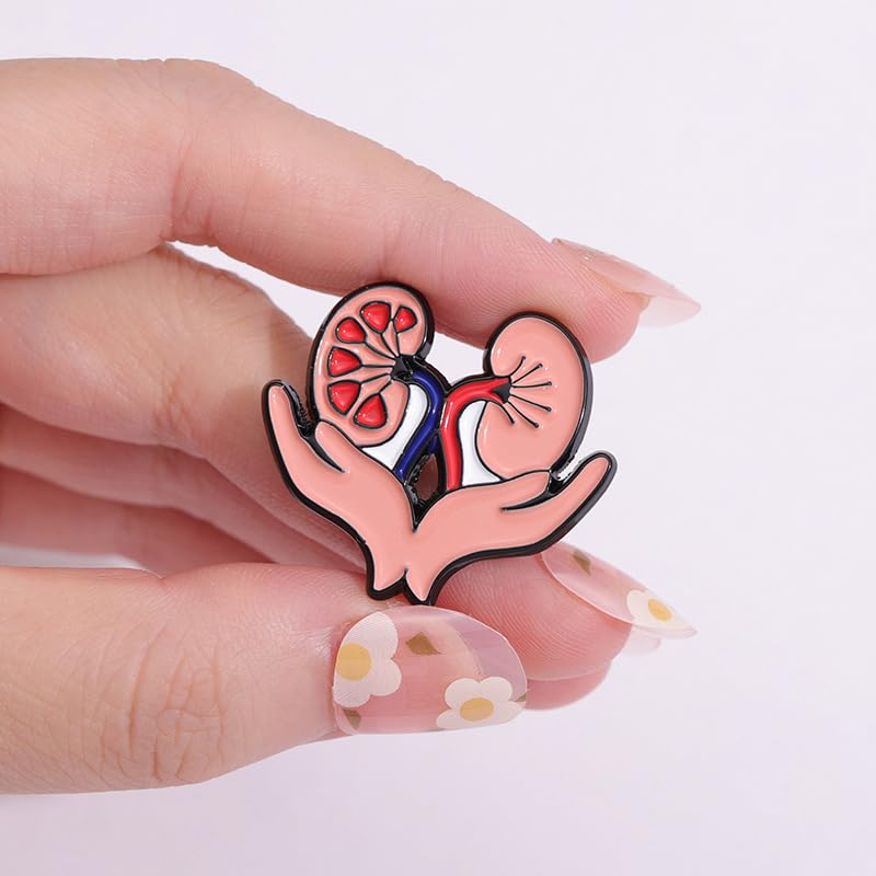 Image of Kidney Anatomy Enamel Brooch Pin for Medical Student Doctor Nurse Urology Nephrology